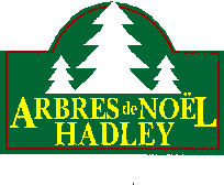 Hadley Christmas Trees